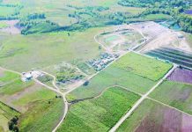 P4-B WTE project in Bacolod underway after council authorizes mayor to sign deal A portion of the Bacolod City Government-owned property in Barangay Felisa where the P4-billion waste-to-energy project will be established. BCCO PHOTO