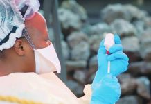 New outbreak of Ebola kills 80 in eastern DR Congo A female nurse prepares a vaccine. She has inserted a needle into the bottle. Nearly 2,300 people died in the Democratic Republic of Congo's deadliest Ebola outbreak between 2018 and 2020. AFP VIA GETTY IMAGES