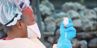 A female nurse prepares a vaccine. She has inserted a needle into the bottle. Nearly 2,300 people died in the Democratic Republic of Congo's deadliest Ebola outbreak between 2018 and 2020. AFP VIA GETTY IMAGES