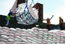 Imported rice capped at P50/kg; DA warns erring retailers of fines and closure Imported rice from Thailand unloaded at Harbor Center in Tondo, Manila. President Ferdinand “Bongbong” Marcos Jr. last week mandated a price ceiling of P50 per kilogram on imported rice nationwide. DANNY PATA/FILE / GMA NEWS