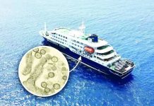 DOH heightens airport and seaport watch vs hantavirus Health authorities across the globe are racing to trace dozens of people who disembarked from cruise ship MV Hondius before an outbreak of hantavirus was detected, and anyone who has come into close contact with them since. The ship began its journey on April 1 in Ushuaia, Argentina, and was expected to arrive in Spain’s Canary Islands on May 10.