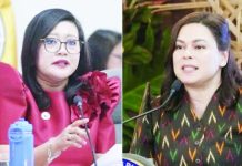 House prosecutors reject senators’ remote voting in VP Saras’ impeachment trial LUISTRO, DUTERTE-CARPIO
