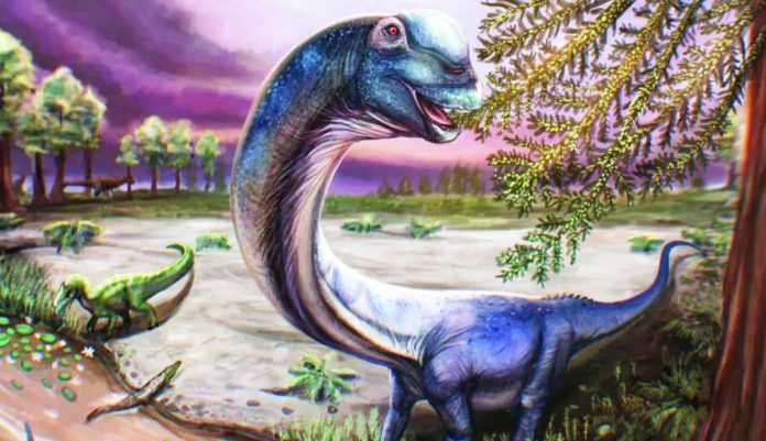 Thailand_copy_compressed_resized An artist’s reconstruction of the Nagatitan, a dark blue long-necked dinosaur eating leaves from a tree. The nagatitan lived between 100 and 120 million years ago. REUTERS