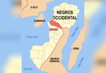 Missing man found dead in Bago City irrigation canal Photo courtesy of Mike Gonzalez (TheCoffee) / Wikimedia Commons