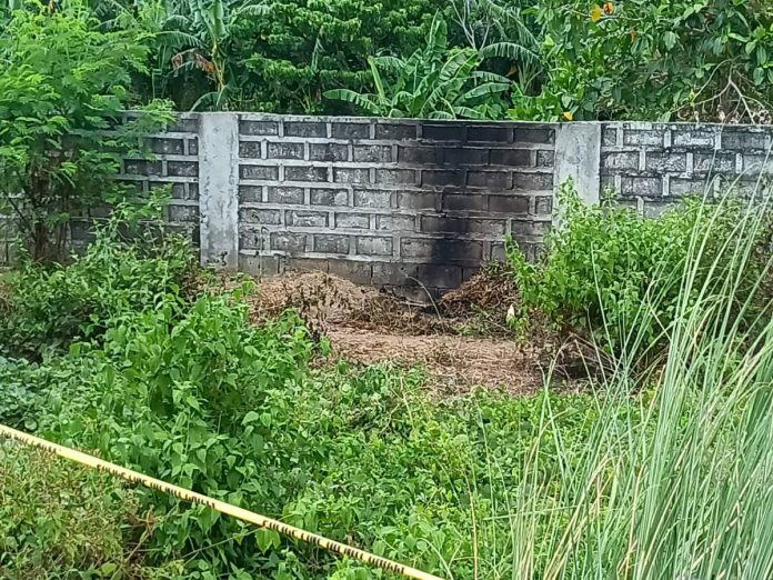 burned body found in Pavia Photo courtesy of AJ Palcullo/PN