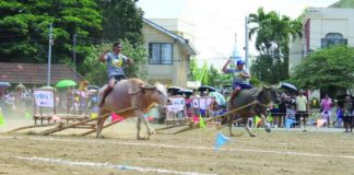 Entries from 18 barangays in Pavia, Iloilo saw action in the Carabao-Carroza Race, a highlight of the 54th Carabao-Carroza Festival, on Sunday, May 3, at the Pavia National High School. Niel Malones (left) of Barangay Ungka 1 emerged as the champion with a winning time of 12.4 seconds. AJ PALCULLO/PN