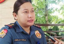 COPS ALONE CAN’T STOP DOMESTIC ABUSE – PRO-6, Barangays, schools, churches urged to join anti-abuse drive Captain Merry Chris dela Cruz, chief of Police Regional Office 6’s Regional Women and Children Protection Desk, emphasizes the vital role of schools, local organizations, and faith-based institutions in preventing domestic violence. “Education is our first line of defense,” she says.