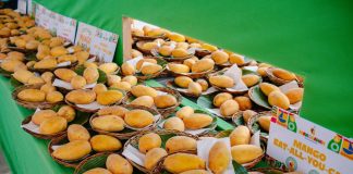 Photo courtesy of Guimaras Manggahan Festival