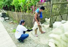 Vaccinators from the Office of the Provincial Veterinarian (OPVet), together with pet owners, conduct house-to-house anti-rabies vaccination activities for dogs in Iloilo Province as part of the provincial government’s intensified campaign to achieve a rabies-free Iloilo by 2030. OPVet said more than 120,000 dogs and cats across the province have already been vaccinated. PHOTO FROM OPVET