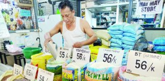 A vendor tends to his array of rice varieties inside the Iloilo Terminal Market in Iloilo City on May 14, 2026. The Department of Agriculture confirms that the full enforcement of the P50 price cap on local rice will begin next week. AJ PALCULLO/PN