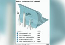 Massive Alaska megatsunami second largest ever recorded This illustrated infographic shows a towering wave compared with landmark heights: The Shard (310 meters), Eiffel Tower (330 meters), and One World Trade Center (541 meters). A ranked list shows the two highest tsunamis: Lituya Bay, Alaska (1958) at 524 meters; Tracy Arm, Alaska (2025) at 482 meters; and some other large tsunamis, namely Dickson Fjord, Greenland (2024) at 200 meters; Hunga Tonga eruption (2022) at 90 meters; and Tohoku, Japan earthquake (2011) at 40.5 meters.