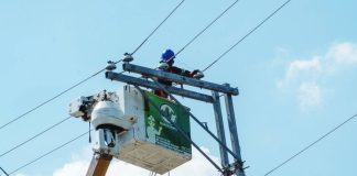 Negros Electric and Power Corporation (Negros Power) linemen conduct maintenance activities. These works are part of Negros Power’s five-year rehabilitation and modernization plan aimed at strengthening the distribution system and minimizing prolonged power interruptions.