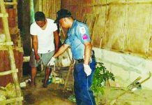 Negros cop killed, 2 others hurt in drug-bust attack Police investigators process the crime scene in Sitio Talaptap, Barangay Talaptap, La Castellana, Negros Occidental where Police Master Sergeant Davy Carampatana was killed and two other officers were wounded after a drug suspect and his mother allegedly attacked them during a buy-bust operation on May 11, 2026. PRO-NIR PHOTO