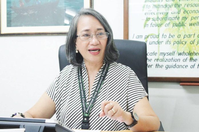 neljoy_crop_insurance_copy_resized According to Philippine Crop Insurance Corporation – Region 6 manager Eva Ulie Laud, registered farmers gain access to fully subsidized crop insurance, with premiums paid by the national government through the General Appropriations Act, shielding them from losses caused by typhoons, floods, pests, and diseases.