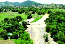 The Barotac Viejo River Irrigation System Dam in Iloilo Province is one of the six irrigation dams in Westesrn Visayas experiencing critical low levels of water, according to the National Irrigation Administration. NIA-6
