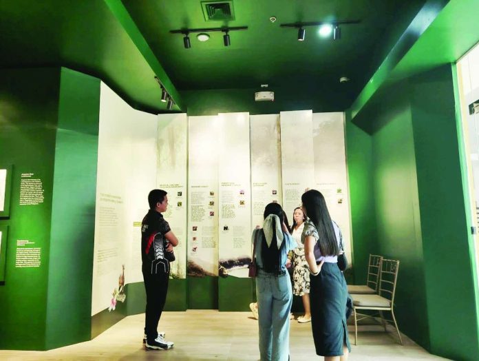 Visitors explore the immersive exhibits at the National Museum of the Philippines-Iloilo, where displays highlighting Panay Island’s rich biodiversity, forest ecosystems, and cultural heritage offer a deeper appreciation of Western Visayas’ natural and historical treasures. NELJOY N. GALIGAO/PN