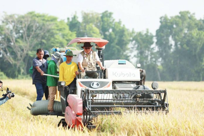 palay production The palay harvest in the first quarter of this year stood at 4,400,567.90 metric tons, down from 4,698,724.31 in the same period last year. DA PHOTO