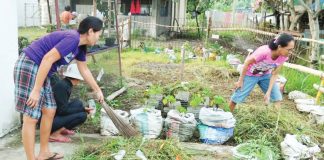 Residents actively participate in the “Limpyo Iloilo Kada Lunes na Lihok Kontra Lamok” clean-up drive in Mina, Iloilo. The initiative focuses on clearing weeds, debris, and potential breeding sites to intensify the municipality's DOLE-6 PHOTO campaign against dengue.