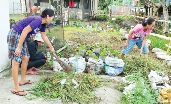 quiñon3_resized Residents actively participate in the “Limpyo Iloilo Kada Lunes na Lihok Kontra Lamok” clean-up drive in Mina, Iloilo. The initiative focuses on clearing weeds, debris, and potential breeding sites to intensify the municipality's DOLE-6 PHOTO campaign against dengue.