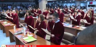 Screengrab, Livestream from the Senate of the Philippines