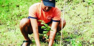 Government employees, local officials, and community volunteers prepared for the annual Pista kang Kagubatan in Barangay Sinundolan, San Remigio, Antique, where up to 2,000 fruit-bearing trees are targeted for planting on June 26. The activity aims to strengthen micro-watershed areas, improve water security, and enhance the province’s forest cover while providing future livelihood opportunities for local residents. PROVINCE OF ANTIQUE PHOTO