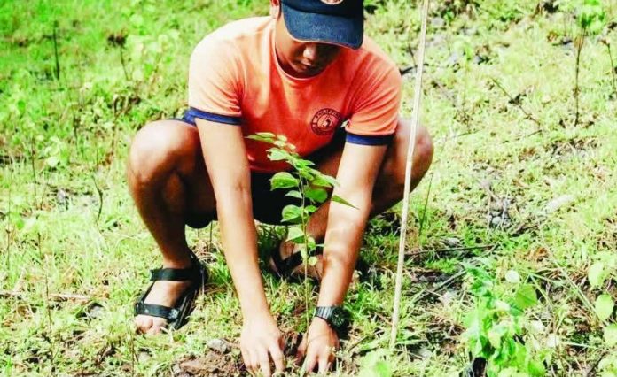 Antique_tree_planting_copy_compressed_resized Government employees, local officials, and community volunteers prepared for the annual Pista kang Kagubatan in Barangay Sinundolan, San Remigio, Antique, where up to 2,000 fruit-bearing trees are targeted for planting on June 26. The activity aims to strengthen micro-watershed areas, improve water security, and enhance the province’s forest cover while providing future livelihood opportunities for local residents. PROVINCE OF ANTIQUE PHOTO