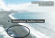 Bird flu kills more than 75% of baby seals on remote Australian island Footage shows mass death of southern elephant seals on a remote Australian island. The seal pups were killed by bird flu. BBC