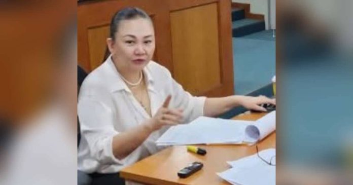 Bacolod Councilor_superimposed Bacolod City Councilor Em Ang is set to represent Bacolod City as a panelist at the United Cities and Local Governments (UCLG) World Congress 2026 in Tangier, Morocco, where she will present the city's climate resilience initiatives and community-driven environmental programs before local government leaders and climate advocates from more than 140 countries. COUNCILOR EM ANG FB PHOTO