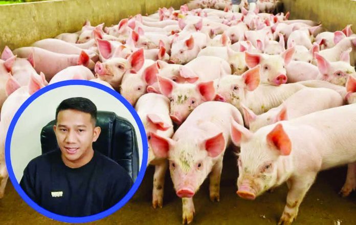 Bacolod_ASF_copy_compressed_resized Bacolod City Administrator Mark Steven Mayo confirmed at least 10 pigs have died from suspected African Swine Fever (ASF) in the city. He said samples from the animals have been collected and sent to the Department of Agriculture Regional Office for confirmatory testing, while authorities continue to monitor the situation and implement heightened biosecurity measures. WATCHMEN DAILY JOURNAL PHOTO