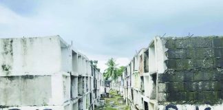 Rows of burial niches are seen at Handumanan Public Cemetery in Bacolod City. The city government is set to transfer remains from older burial niches to newly established bone vaults and is exploring the acquisition of an adjacent one-hectare property as part of efforts to address overcrowding, create additional burial space, and improve accessibility within the cemetery. BACOLOD KFIVE STATION FB PHOTO