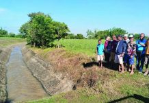 Irrigation reopens for 6K hectares of rice farms in central Negros The National Irrigation Administration (NIA) Bago River Irrigation System North District serves about 6,000 hectares of rice farms in portions of Bago City and Murcia town in Negros Occidental. PEDRO LIMPANGOG/FACEBOOK PHOTO