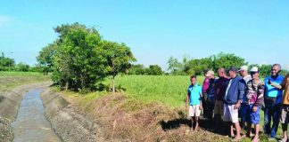 The National Irrigation Administration (NIA) Bago River Irrigation System North District serves about 6,000 hectares of rice farms in portions of Bago City and Murcia town in Negros Occidental. PEDRO LIMPANGOG/FACEBOOK PHOTO