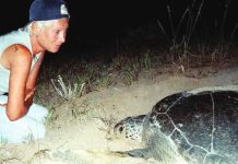 Lebanese turtle conservationist killed by Israeli Mona Khalil had dedicated much of her life to protecting endangered turtles along Lebanon's south coast. AFP VIA GETTY IMAGES