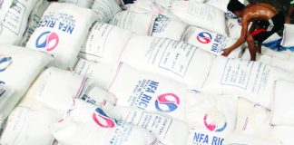The P184.2-million project of the National Food Authority (NFA), which will run from 2026 to 2028, includes upgrading laboratory facilities at the NFA Central Office and regional laboratories in Cagayan Valley, Davao, and Western Visayas. FILE PHOTO BY RAFFY LERMA / PHILIPPINE DAILY INQUIRER