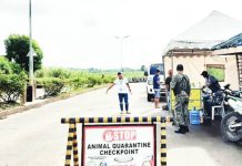 Meanwhile, the municipality of San Enrique has confirmed an ASF case after laboratory tests on collected samples yielded positive results.