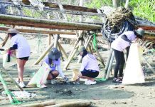 Volunteers from the Capiz Provincial Government, MENRO-Panay, Barangay Buntod, and various community groups collected trash along the shoreline of Barangay Buntod, Panay, Capiz during a coastal clean-up activity on June 11. The initiative, held as part of Environment Month celebrations, resulted in the collection of 378.5 kilograms of waste and aimed to promote environmental awareness and marine ecosystem protection. CAPENRO PHOTO