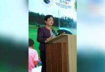 PUBLIC HEALTH MILESTONE: 74 barangays earn basic sanitation certification; Tubungan first Iloilo town with 100% compliance Quiñon