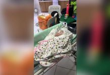 Abandoned newborn found alive in Sagay, now in stable condition A newborn baby girl who was found abandoned along a roadside in Barangay General Luna, Sagay City, is now in stable condition at the Alfredo E. Marañon Sr. Memorial District Hospital after residents and emergency responders rescued her. Authorities continue to investigate the circumstances surrounding the infant's abandonment while the city government ensures she receives proper medical care and protection.