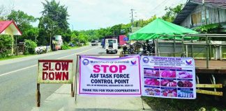 Capiz’s Gov. Fredenil H. Castro has imposed an immediate ban on the entry and passage of live pigs, pork, pork products and byproducts from areas identified as African Swine Fever (ASF)-positive or ASF-suspected. Border checkpoints have been intensified at strategic land entry points, particularly in the towns of Dumarao (as seen in this photo), Maayon, Pilar, and Tapaz, while veterinary quarantine personnel continue monitoring cargo arriving through the province’s seaports and airport. PHOTOS COURTESY OF DUMARAO PNP