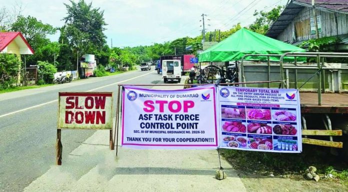 capiz check point Capiz’s Gov. Fredenil H. Castro has imposed an immediate ban on the entry and passage of live pigs, pork, pork products and byproducts from areas identified as African Swine Fever (ASF)-positive or ASF-suspected. Border checkpoints have been intensified at strategic land entry points, particularly in the towns of Dumarao (as seen in this photo), Maayon, Pilar, and Tapaz, while veterinary quarantine personnel continue monitoring cargo arriving through the province’s seaports and airport. PHOTOS COURTESY OF DUMARAO PNP