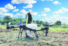 DRONES TO MODERNIZE ILOILO RICE FARMS; DA launches free aerial farming services in 16 towns READY FOR TAKEOFF. An agricultural drone undergoes field preparation before deployment in one of the pilot rice farms in Iloilo Province under the Department of Agriculture’s Agri Drone Project. The technology-driven initiative provides free drone-assisted farming services across 2,146 hectares in 16 Iloilo municipalities this wet cropping season to help farmers improve efficiency, reduce production costs, and boost rice yields. DA-6