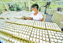 Philippines experiencing oversupply of egg — PEBA The oversupply of eggs resulted from low demand and overproduction as many hog and poultry raisers opted to shift to egg production due to losses resulting from meat importation. DANNY PATA / GMA NEWS FILE PHOTO