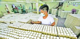The oversupply of eggs resulted from low demand and overproduction as many hog and poultry raisers opted to shift to egg production due to losses resulting from meat importation. DANNY PATA / GMA NEWS FILE PHOTO
