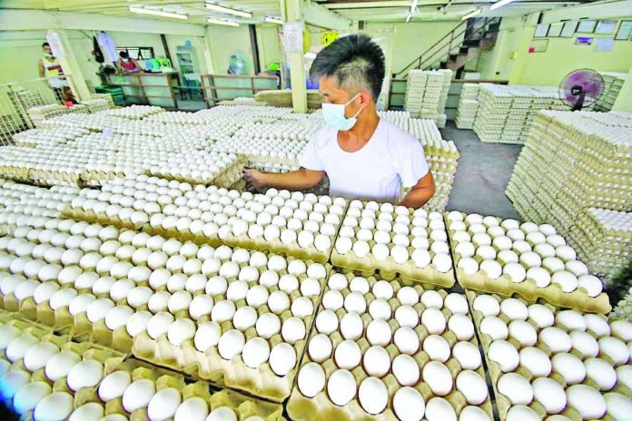 egg_oversupply_compressed_resized The oversupply of eggs resulted from low demand and overproduction as many hog and poultry raisers opted to shift to egg production due to losses resulting from meat importation. DANNY PATA / GMA NEWS FILE PHOTO