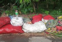 Tougher penalties eyed as 80 tons waste hauled from city rivers, drains Photo courtesy of Engr. Neil Ravena