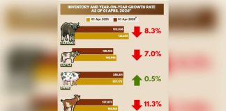 The Philippine Statistics Authority recorded 122,526 heads of carabao across Western Visayas in the first quarter of 2026 – lower than the 133,655 heads logged in the same period last year. The region’s swine inventory also dropped to 258,551 heads as of April 1, 2026 from 257,175 heads listed in the same date in 2025.