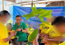Persons Deprived of Liberty at the Iloilo District Jail in Barangay Nanga, Pototan town participate in a coffee farming orientation conducted by the Iloilo Provincial Agriculture Office. The training equipped 30 inmates with practical skills in coffee propagation, plantation management, harvesting, and post-harvest processing as part of the province’s rehabilitation and reintegration program aimed at preparing them for sustainable livelihood opportunities upon their return to the community. PHOTOS COURTESY OF ILOILO PROVINCIAL AGRICULTURE OFFICE