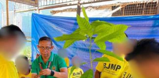 Persons Deprived of Liberty at the Iloilo District Jail in Barangay Nanga, Pototan town participate in a coffee farming orientation conducted by the Iloilo Provincial Agriculture Office. The training equipped 30 inmates with practical skills in coffee propagation, plantation management, harvesting, and post-harvest processing as part of the province’s rehabilitation and reintegration program aimed at preparing them for sustainable livelihood opportunities upon their return to the community. PHOTOS COURTESY OF ILOILO PROVINCIAL AGRICULTURE OFFICE