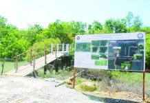 Abandoned fishpond now a biodiversity sanctuary; 100K mangroves revive coastal ecosystem The Iloilo Provincial Katunggan Ecological and Economic Park in Barangay Nabitasan, Leganes, Iloilo is being developed into a center for mangrove and marine biodiversity conservation. A walkway allows visitors to explore the restored coastal ecosystem. IME SORNITO/PN