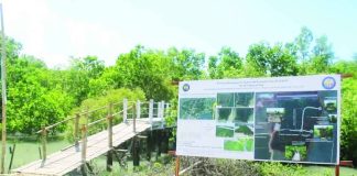 The Iloilo Provincial Katunggan Ecological and Economic Park in Barangay Nabitasan, Leganes, Iloilo is being developed into a center for mangrove and marine biodiversity conservation. A walkway allows visitors to explore the restored coastal ecosystem. IME SORNITO/PN